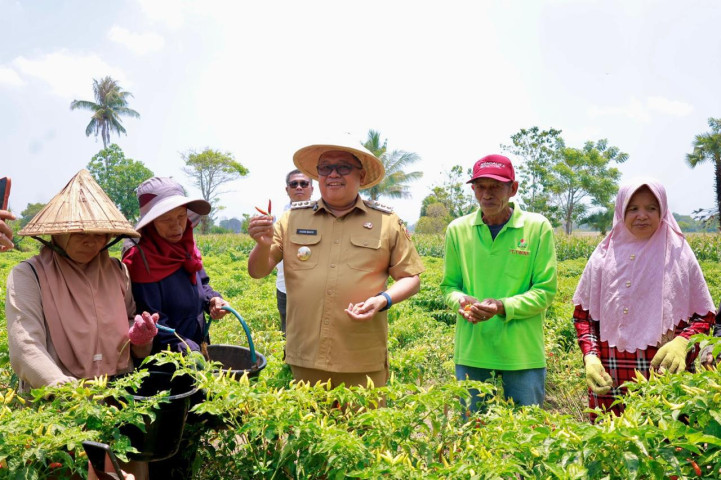 Turun ke Moncongkomba, Bupati Daeng Manye Resmikan Irigasi Tersier, Panen Cabai dan Serahkan Bantuan Pompa Air
